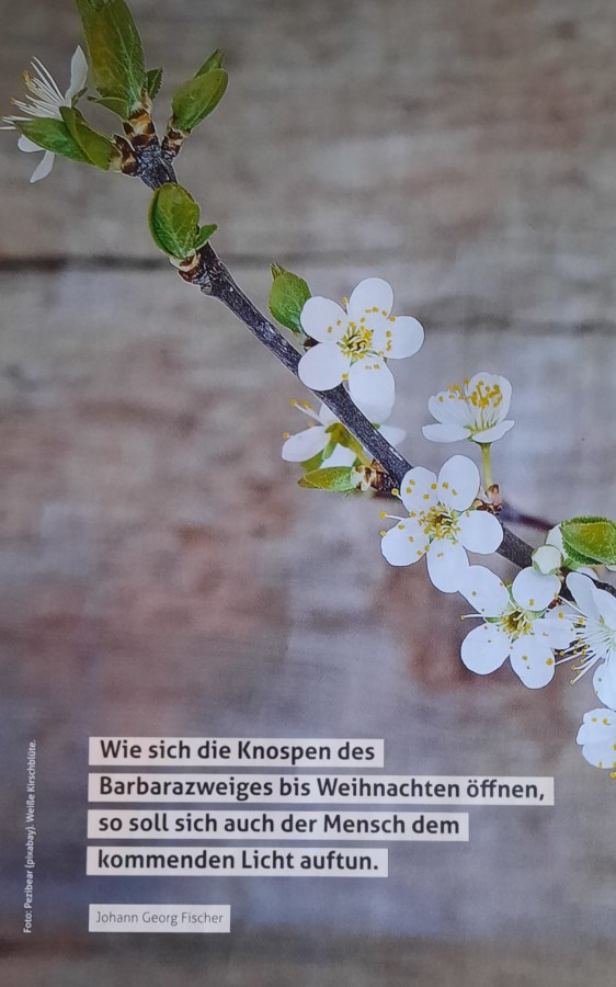 Impuls