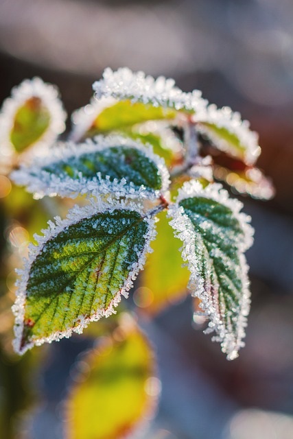 Winterbild