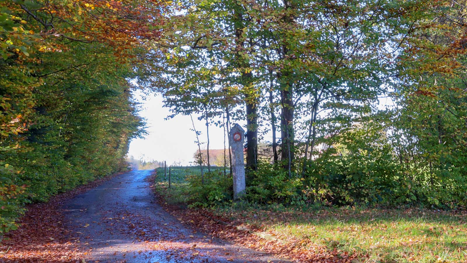 Wegkreuz - Bodenrain