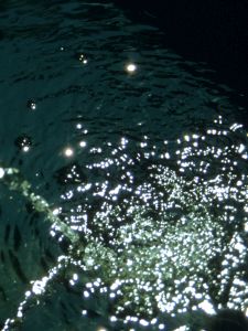 Wassertropfen im See
