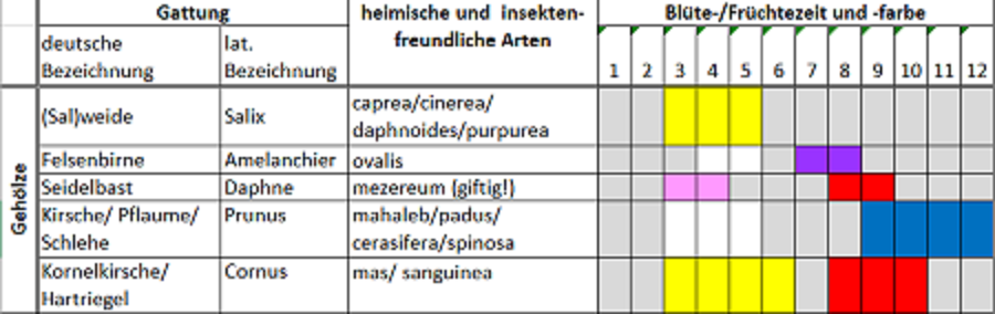 Excel_Blühzeiten_900