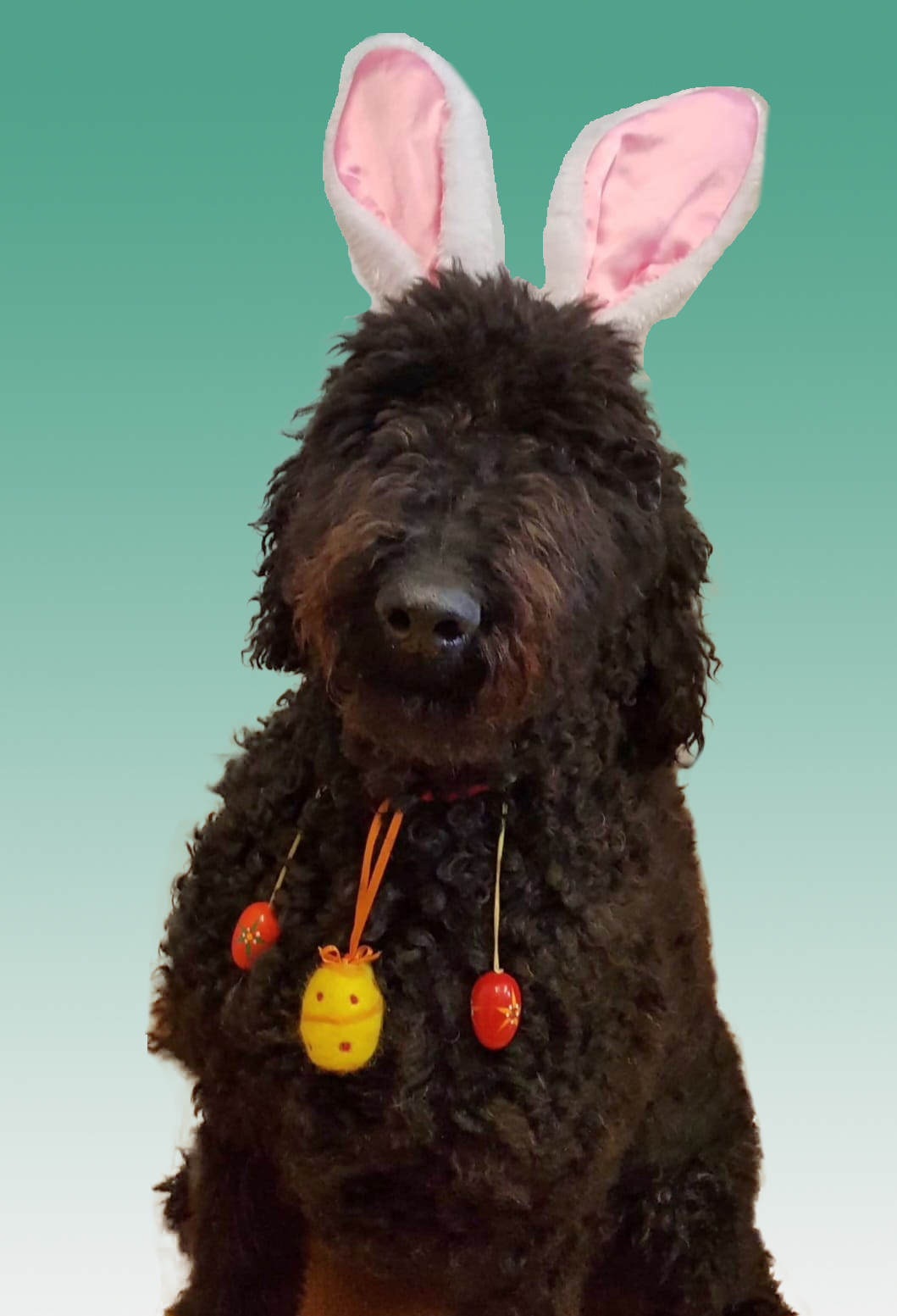 fanny-2023-04-Ostern-fg-gruen