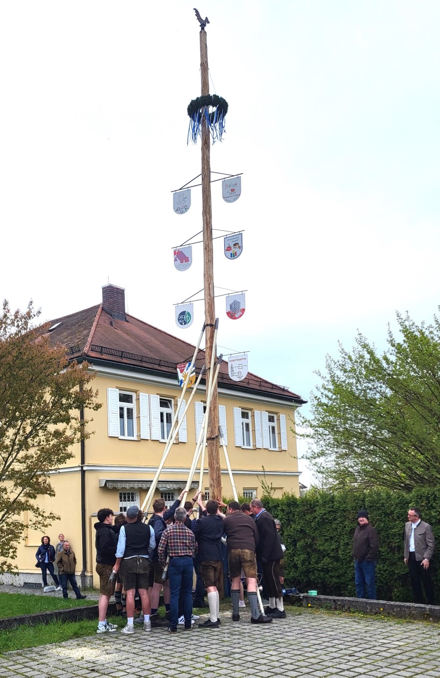 Maibaum_2