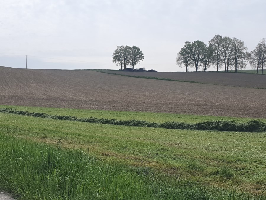 Landschaft - gemähte Wiese und für die Aussaat vorbereitetes Feld