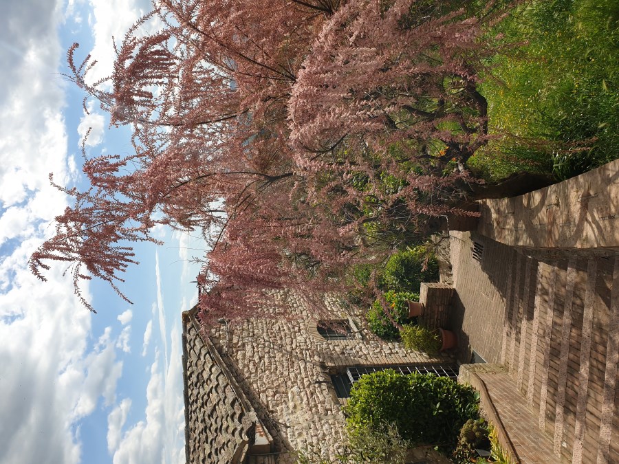 Jugendwallfahrt Assisi April 2022