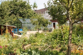 Gemeinschaftsgarten