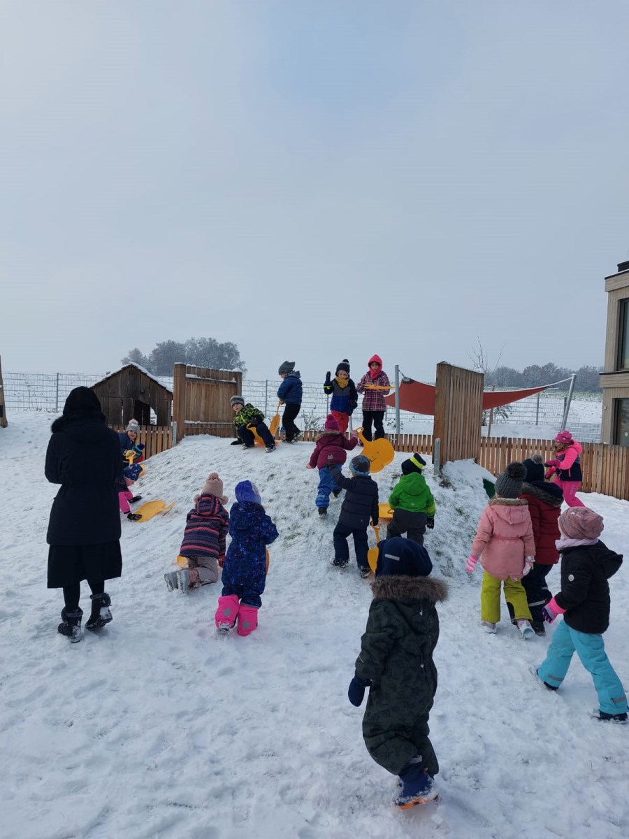 Winter - Schlittenberg