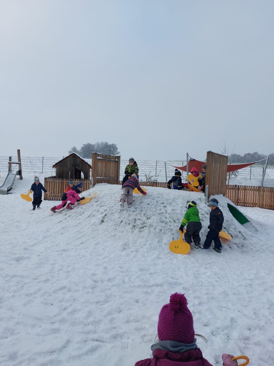 Winter - Schlittenfahren