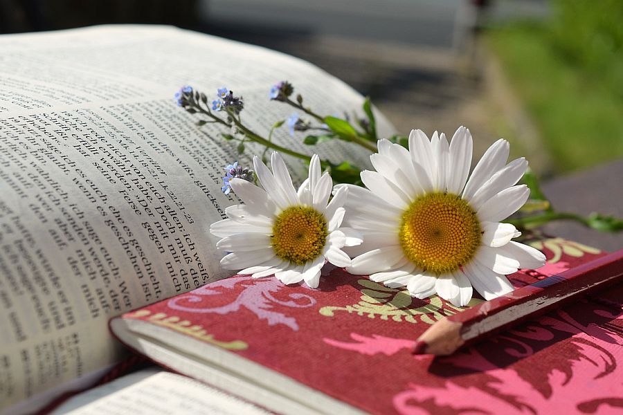 Bibel mit Blumen, Noitzheft und Bleistift