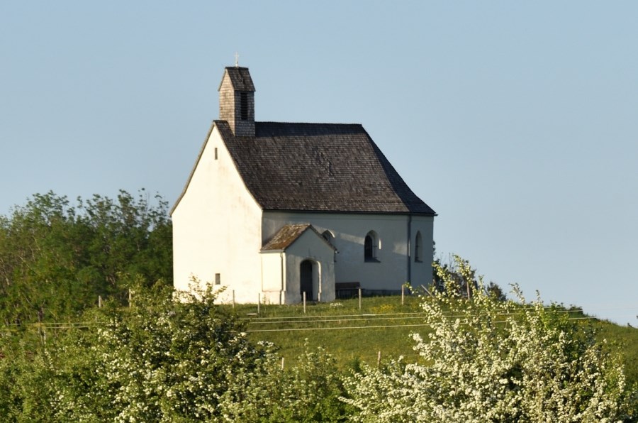 ohne Bäume