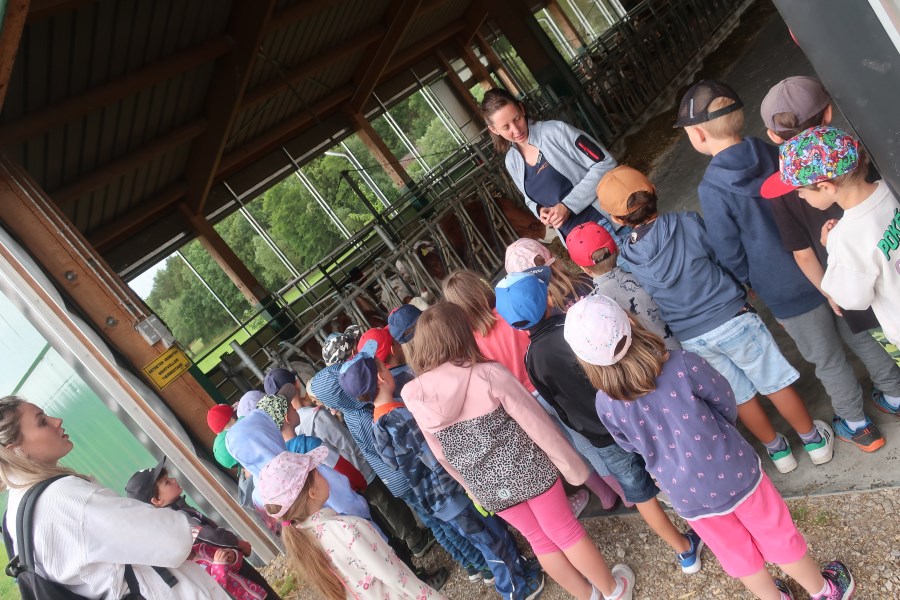 Die Vorschulkinder besuchen den Erlebnisbauernhof in Enghausen