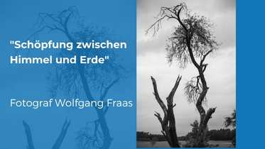 Vernissage Wolfgang Frass