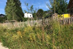 Landschaft auf Campus Traunstein