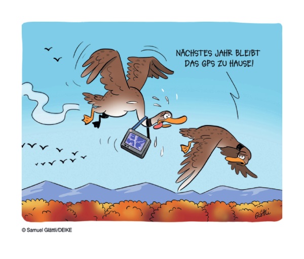 Zugvögel