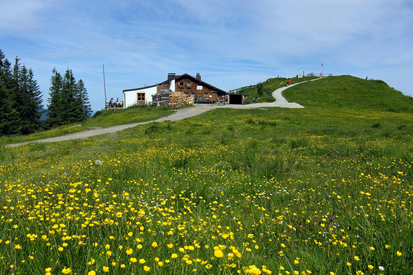 Hütte Hörnle