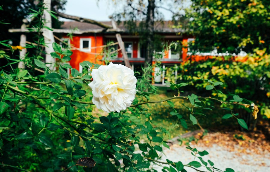 Garten im Oktober 23