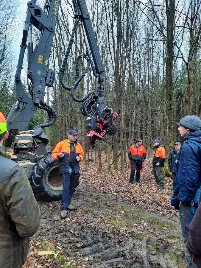 Maschine bei der Waldarbeit