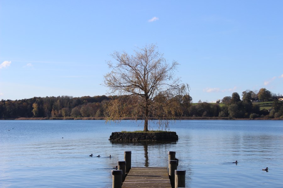Steg am Chiemsee