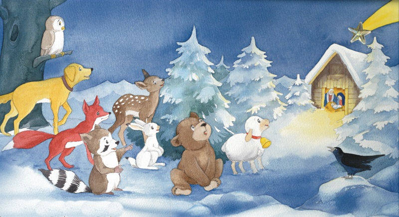 Bild Zehn Weihnachtssterne für Rica AK