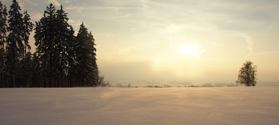 Wintersonne - Winterlandschaft