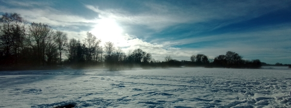 Feuchtwiesen Taufkirchen im Winter