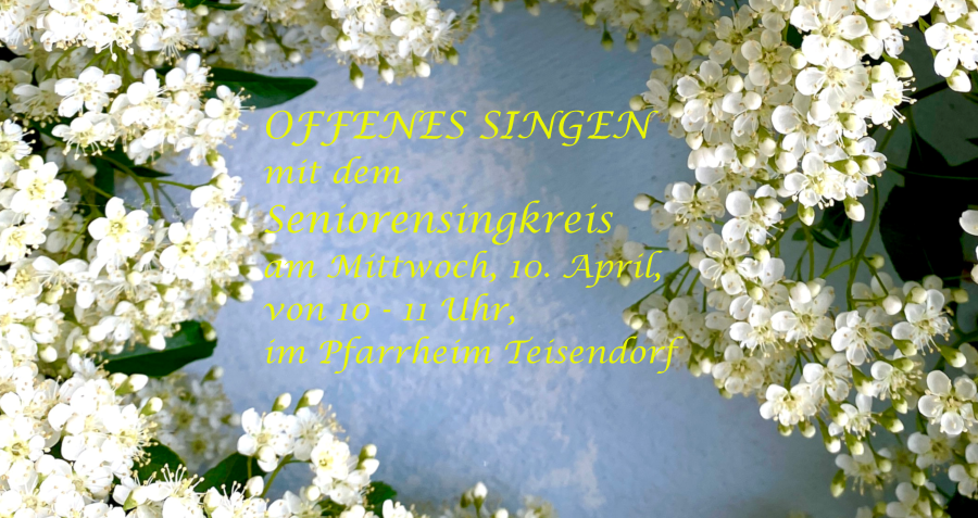 Offenes Singen mit dem Seniorensingkreis