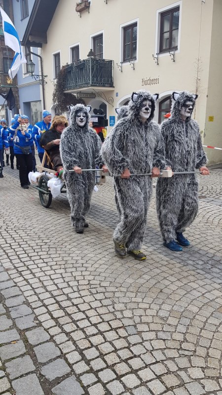 „Hundeschlittenrennen der Vereine“