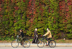 2023-09-Friedhofsmauer-Herbst
