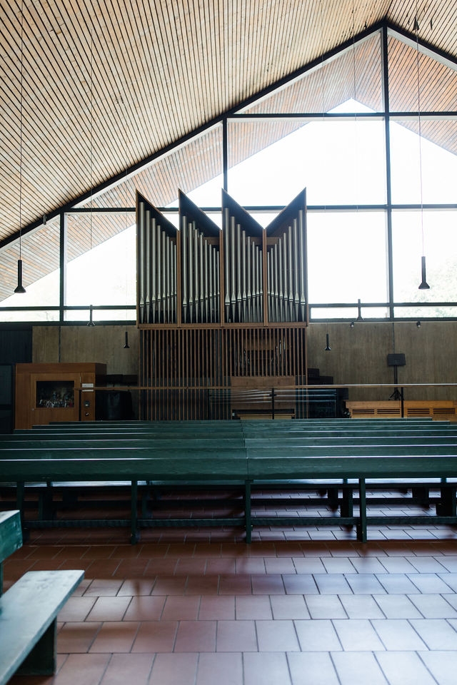 Krippe und Orgel in St. Stefan