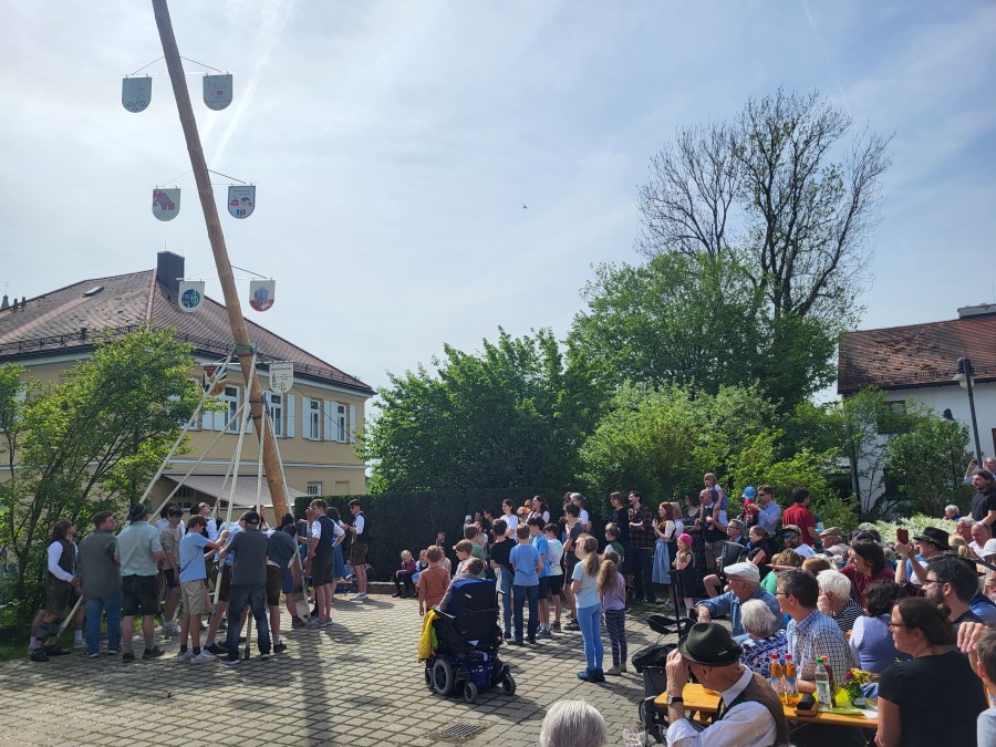 Maibaum