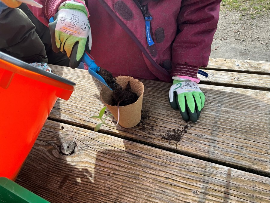 Kind pflanzt an