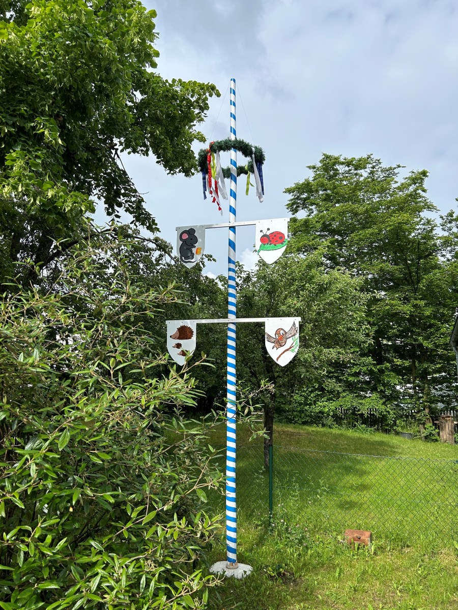 Maibaum_2024