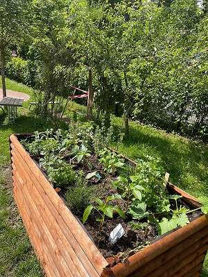 neues Hochbeet mit Pflanzen