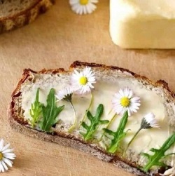 brot