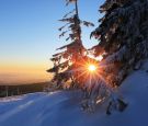 Coverbild_Abendstern_Haselbeck_Fritz_online