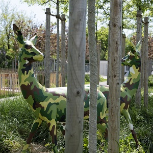 Rehe in Camouflage