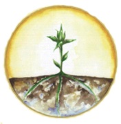 Logo Pfarrverband