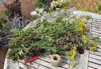 Kräuter
