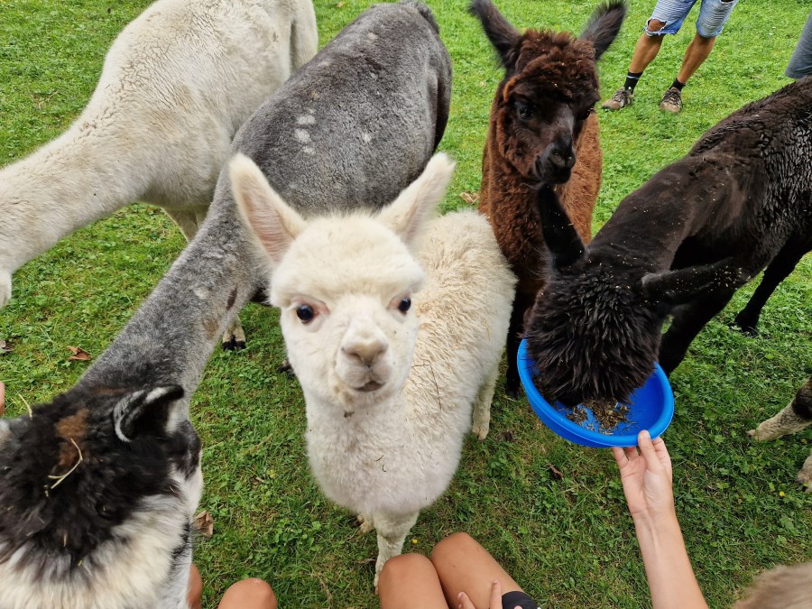 Ferienprogramm Pfarrverband Trostberg