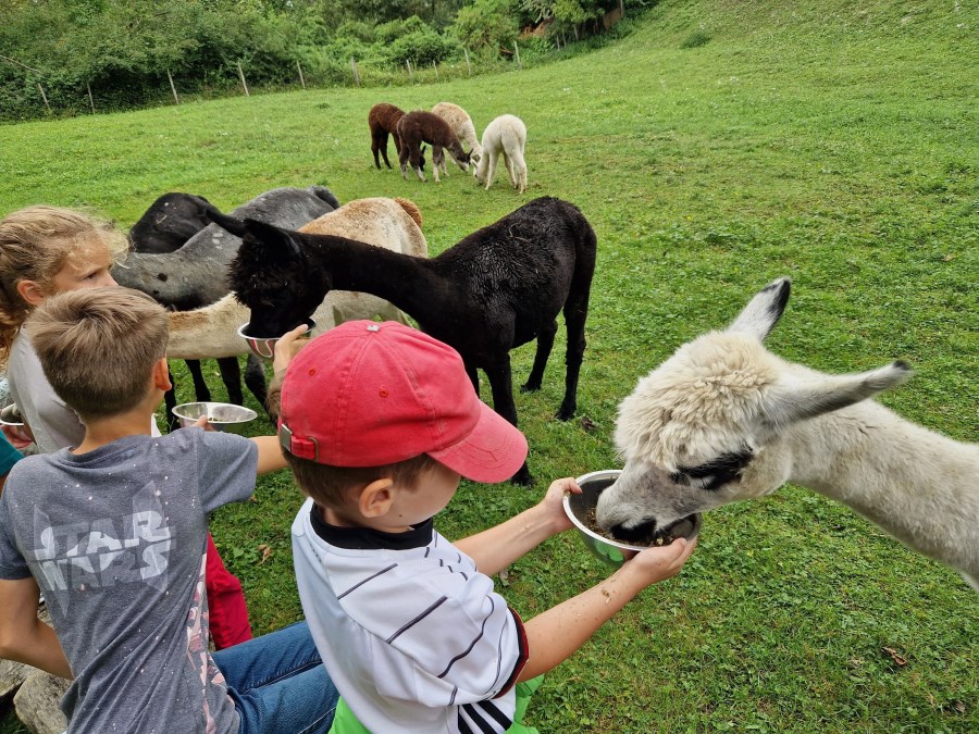 Ferienprogramm Pfarrverband Trostberg