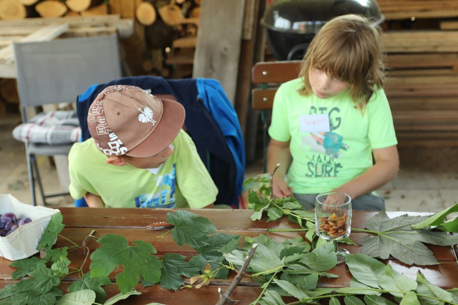 Ferienprogramm Pfarrverband Trostberg