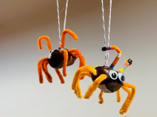 Kastanienspinne