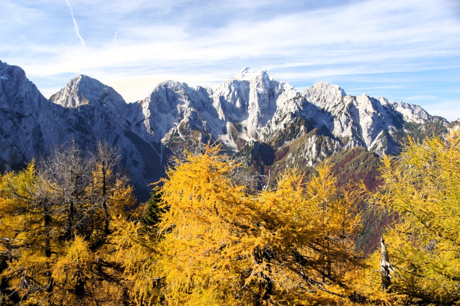 Herbst