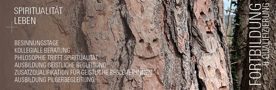 Slider-Bild für den Bereich Fortbildungen in Spiritualität leben