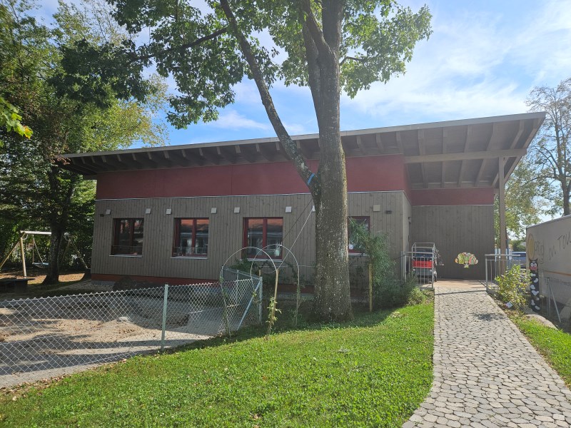 Fröschegruppe