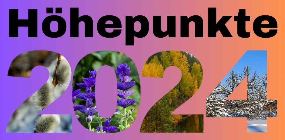 Höhepunkte 2024