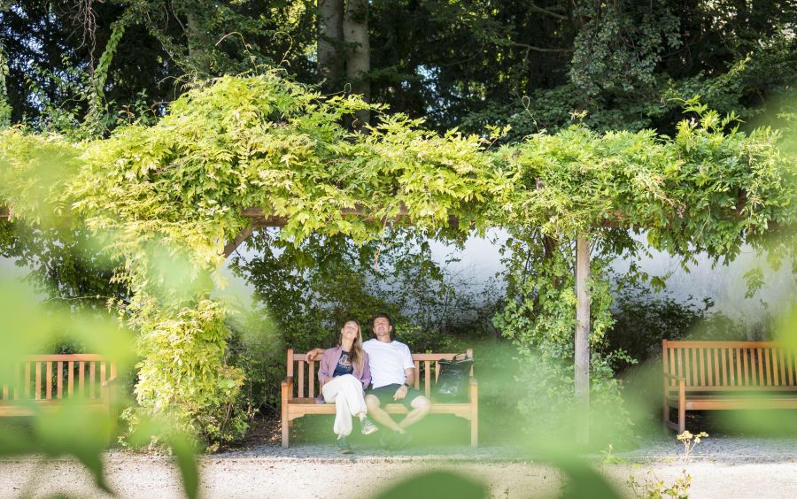 Pärchen auf Bank vor Wald