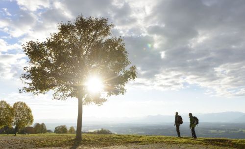Zwei Wanderer neben Baum, durch den die Sonne scheint
