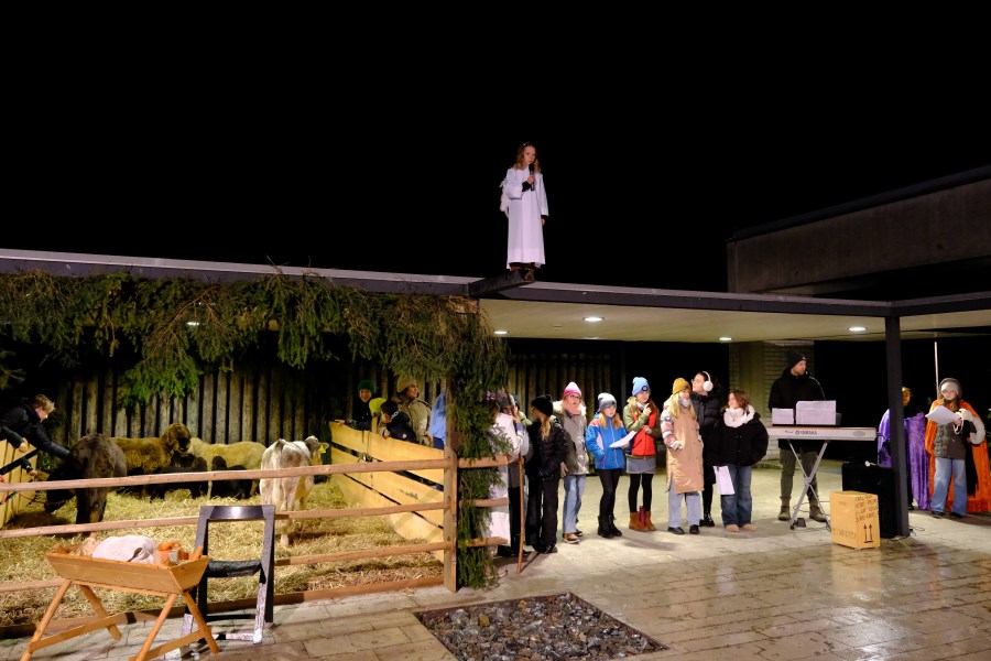 Stallweihnacht 6