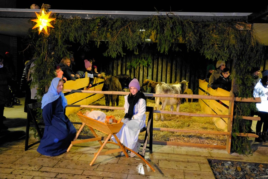 Stallweihnacht 7